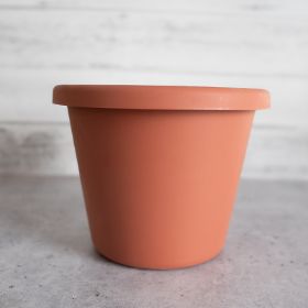 Brown pot without saucer.