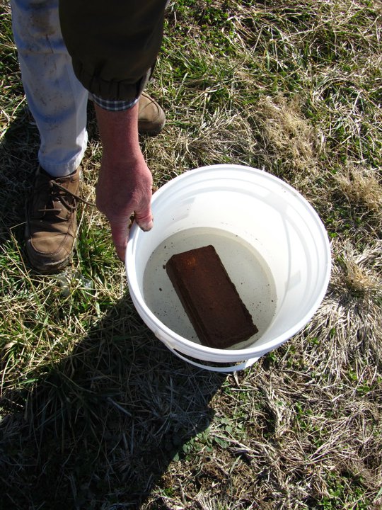 Cocoa-Fiber Brick in Water