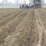Crop2013Planting-1