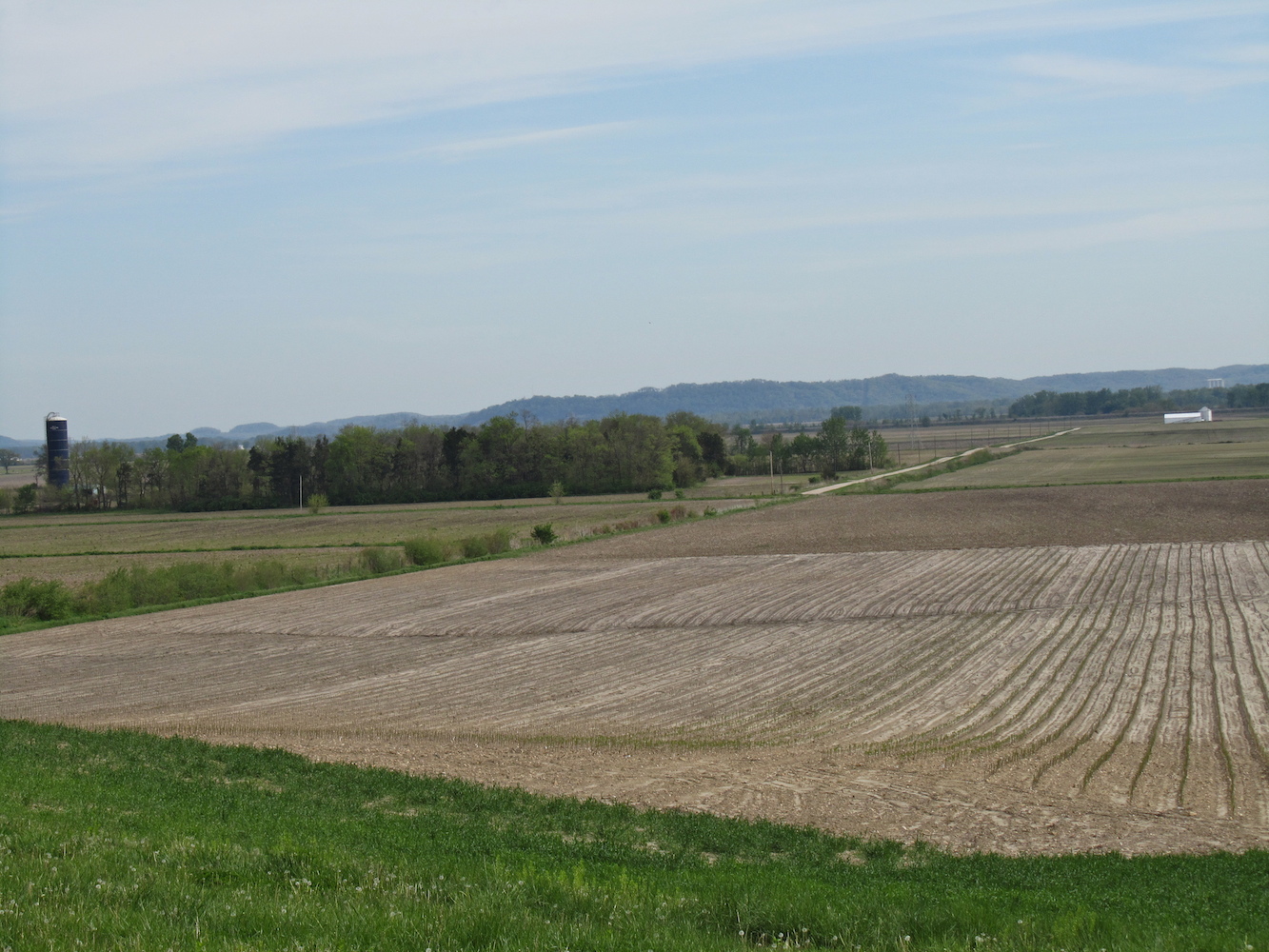 A large farm field of trees