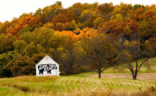 Fall colors surrounding Stark Bro's Bear Barn