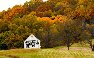 Fall colors surrounding Stark Bro's Bear Barn