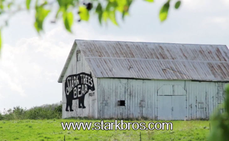 Stark Barn