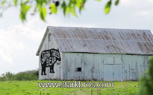 Stark Barn