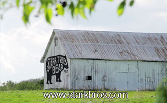 Stark Barn