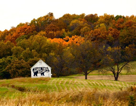 Stark Barn in Fall