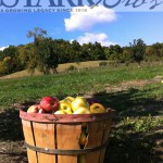 Apples-In-Basket