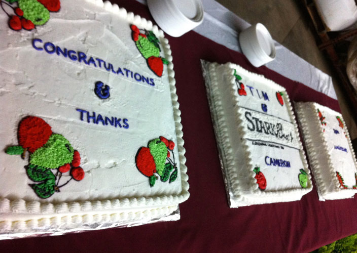 Celebration Cakes