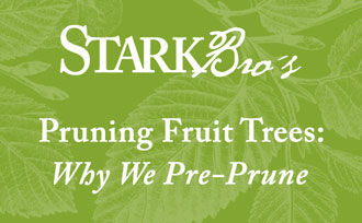 Banner for pre-pruning fruit trees