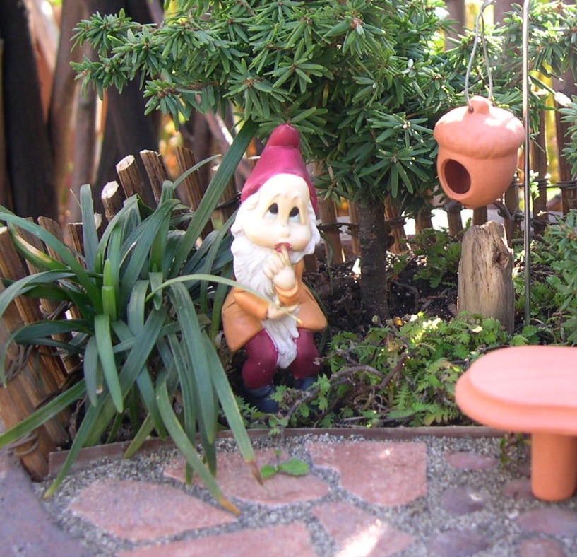 The Right Plant