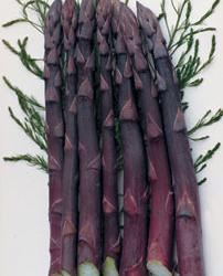 Purple-Passion-Asparagus.jpg (202×250)