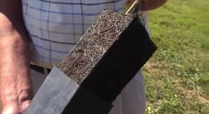 Image of Roots in Stark® EZ Start® System