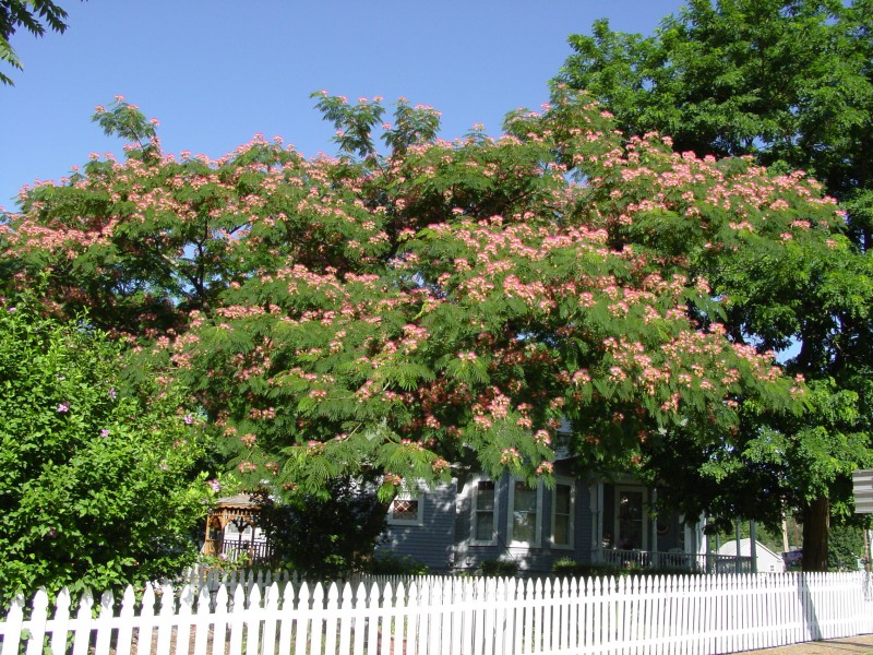 DSC09008