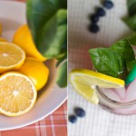 Meyer Lemonade