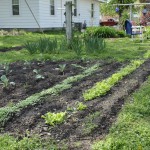 Home Garden Home Garden