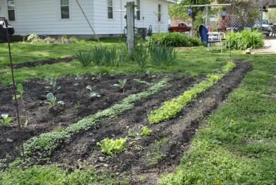 Home Garden
