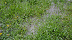 Plan Ahead for Rainy Weather