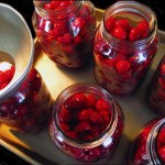 Canned Cherries