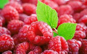 Raspberries Red Raspberries