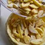 Making Apple Pie Pie Crust Being Filled with Apples