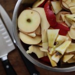 Raw Apple Scraps
