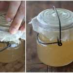 Sealing Finished Apple Vinegar