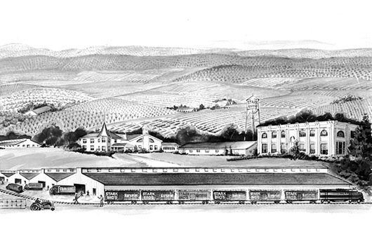 Vintage panoramic photo of old Stark Bro's buildings