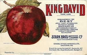 KingDavidApple