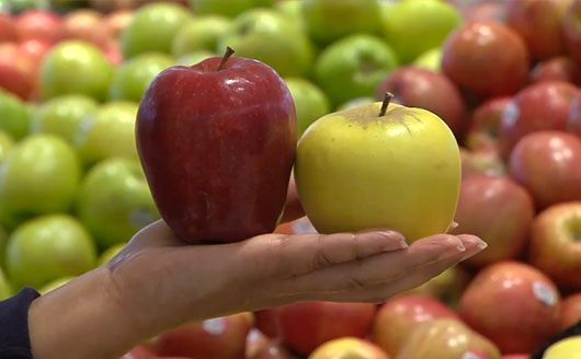 holding apples