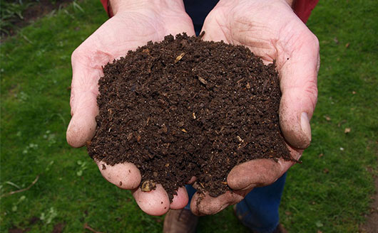 Palms holding soil