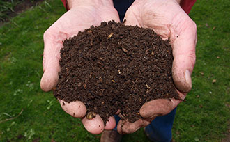 Palms holding soil