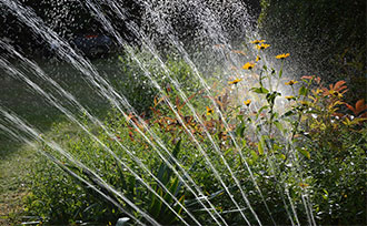 sprinkler watering plants