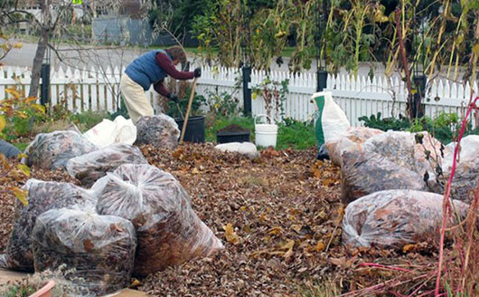man raking leaves