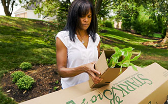 Lady unboxing plant