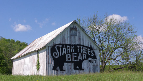 Stark Bro's Organic Story Header