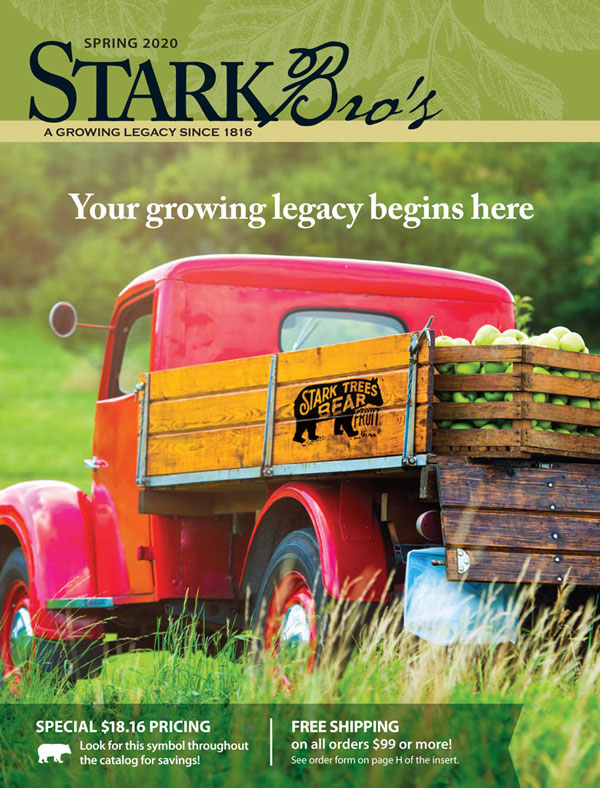 Example Stark Bro's catalog cover with a classic truck with apples in the back.