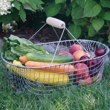 Photo of Wire Harvest Basket