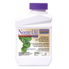 Photo of Bonide® Neem Oil
