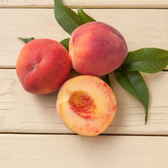 Freestone Peach Trees