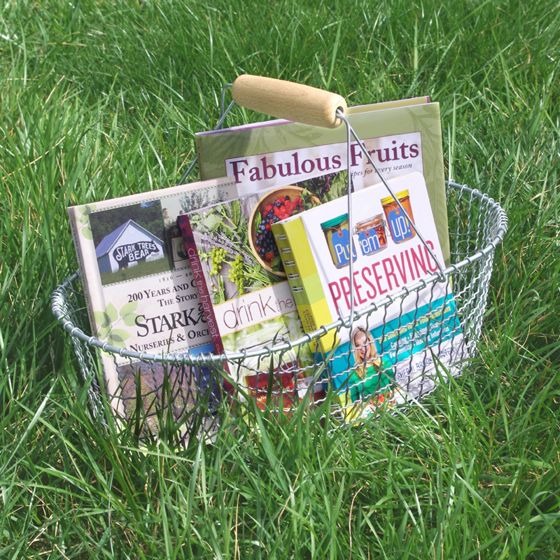 Photo of Basket of Books