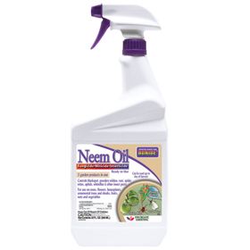 Photo of neem oil.
