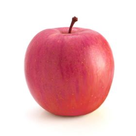 Photo of a Myra Red Fuji apple.