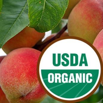 USDA Organic badge with peaches in the background