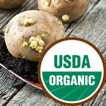Photo of harvested potatoes, small shovel and USDA Organic logo.