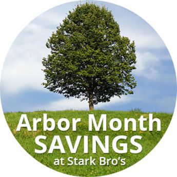 "Arbor Month Sale"