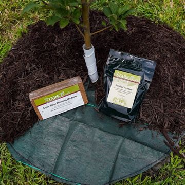 Photo of stark tree success kit and tree.