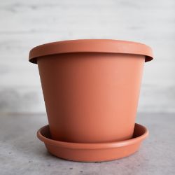 Brown pot in a saucer.