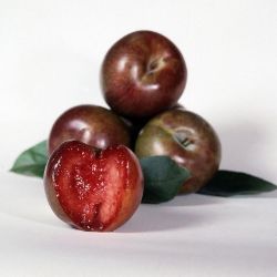 Four ripe pluots, one sliced in half.