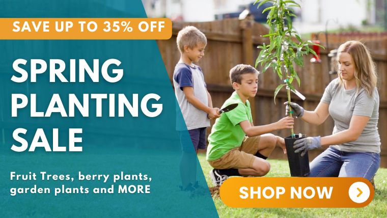 Save up to 35% off during the Spring Planting Sale!