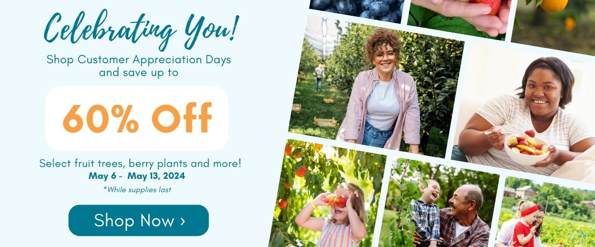 Shop Customer Appreciation Days and Save up to 60% off!